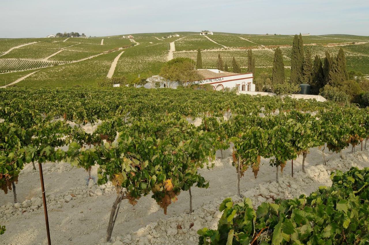 Гостевой дом Jerez Vina Santa Petronila Херес-де-ла-Фронтера Экстерьер фото
