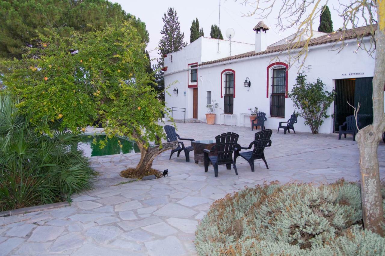 Гостевой дом Jerez Vina Santa Petronila Херес-де-ла-Фронтера Экстерьер фото